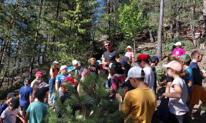 BBE : 130 enfants plantent des arbres avec Tree2Forest !