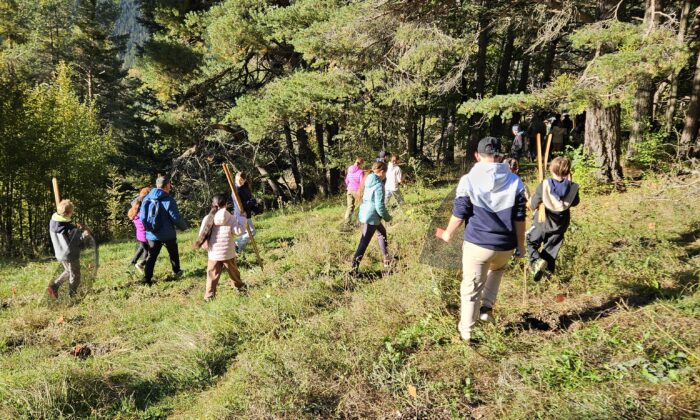 BBE : A Briançon, les enfants plantent la forêt de demain ! 