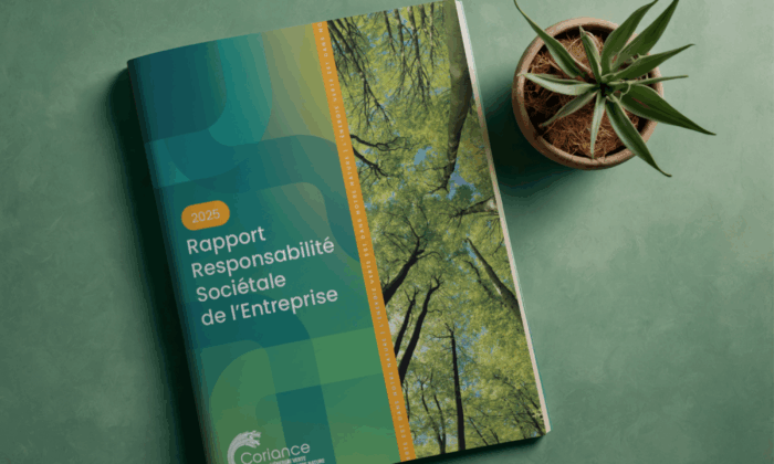 Notre rapport RSE 2025 est disponible !